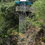 Dschungel Fahrstuhl - Datanla