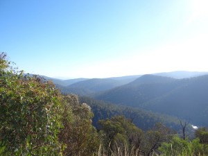 View Alpine NP