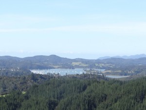 View Bay of Islands - Opuha