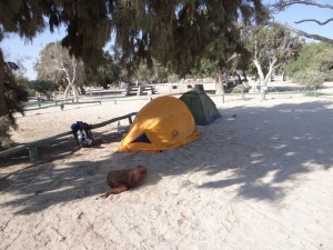 camping Bahia Inglesa