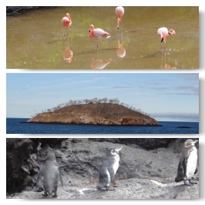 upnaway Galapagos Adventure 2014