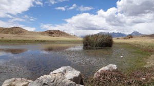 Lagune Wilcacocha