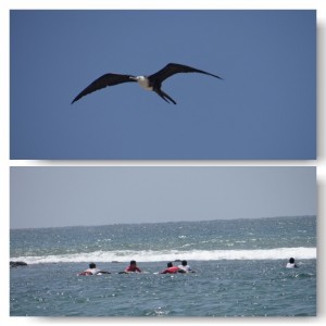 Surfen in Peru