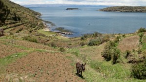 Isla del Sol Landschaft