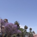 Plaza Mayo mit Kathedrale