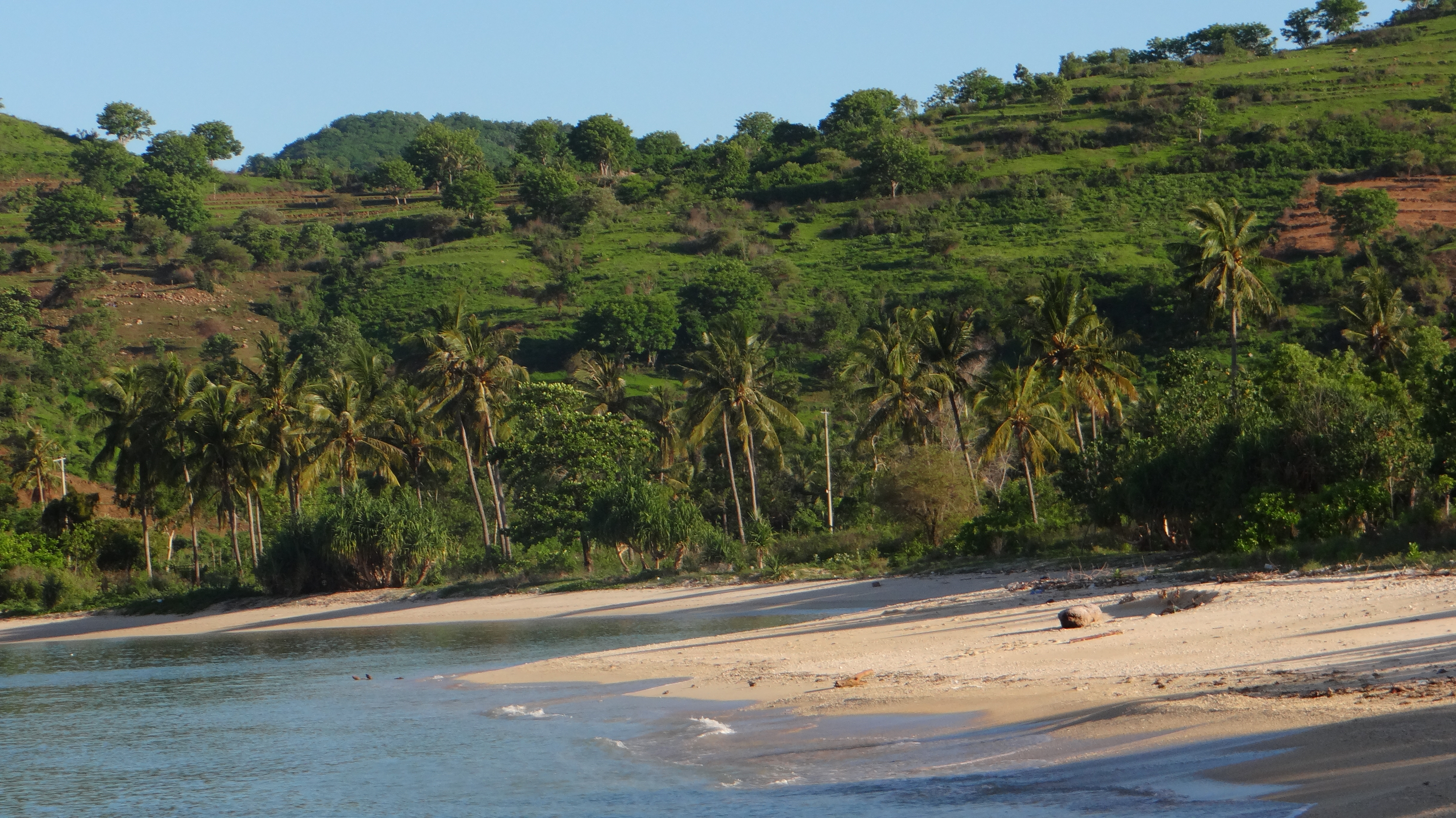 Mawi Beach, Lombok